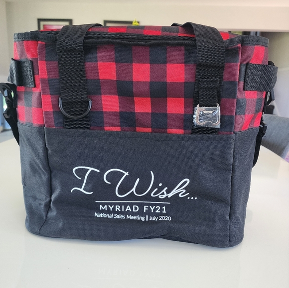 NEW Large insulated cooler tote - Picture 1 of 3